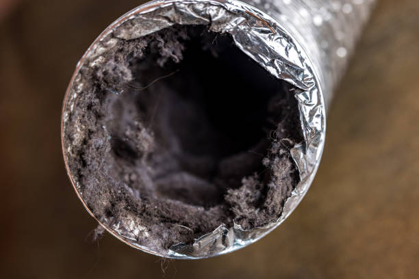 Best Local Air Duct Cleaning Services  in Ingleside, TX